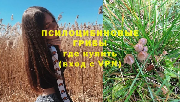 стаф Богородск