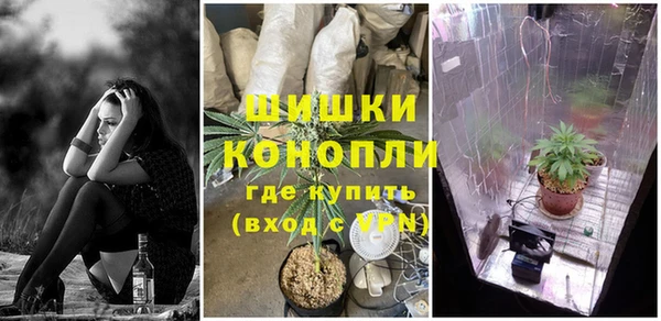 дживик Беломорск