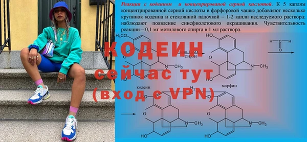 сатива Баксан