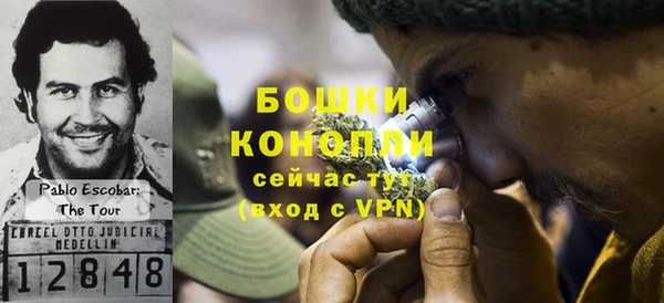 стафф Богданович